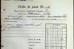 241