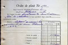 241