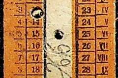 241
