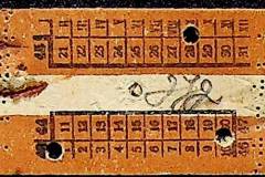 241
