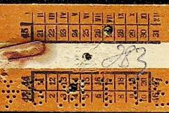 241