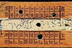 241