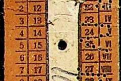 241