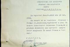 241