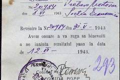 241