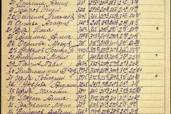 241