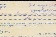 241