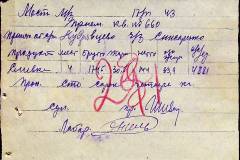 241