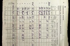 241