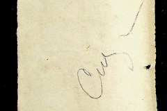 241