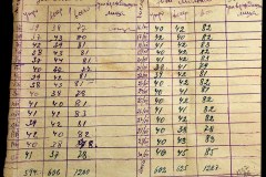 241