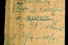 241