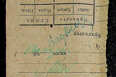 241