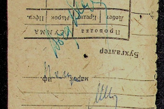 241