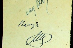 241