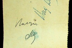 241