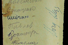 241