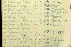 241