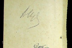 241