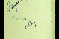 241