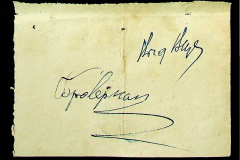 241