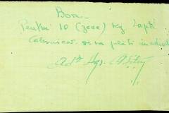 241