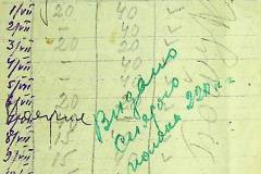 241