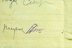 241
