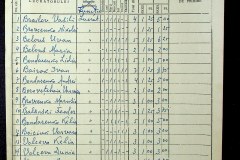 241