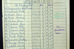 241