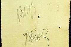 241