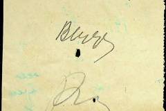 241