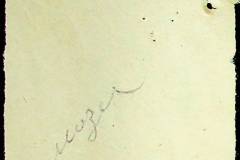241