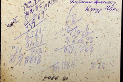 241