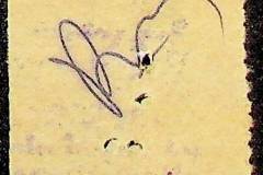 241