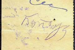 241