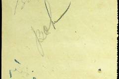 241