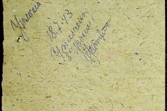 241