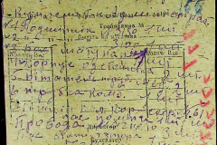 241