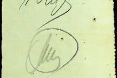 241