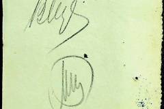 241