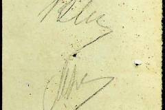 241