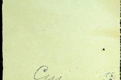 241