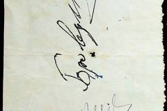 241
