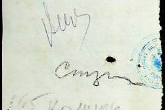 241