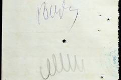 241