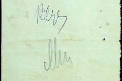 241