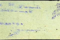 241