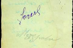 241