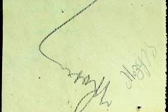 241